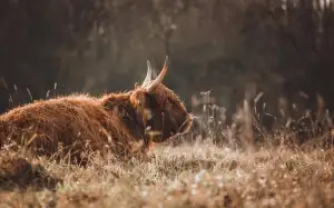 Jak Dlouho Trvá Vyřídit Stavební Povolení